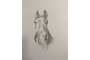Original works on paper