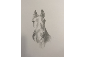 Original works on paper