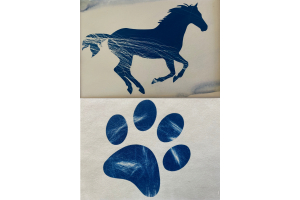Memory Prints