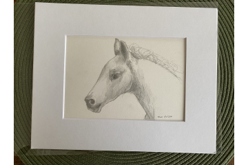 Matted sketch of Boondock as a baby