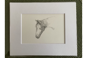 Head study of Boondock