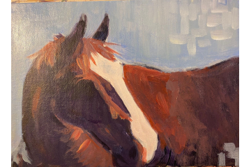 Horse Sketch in Acrylic