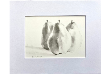 Pencil sketch Three Pears