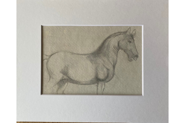 Silverpoint Drawing Horse