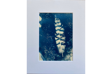 Feather Original Print